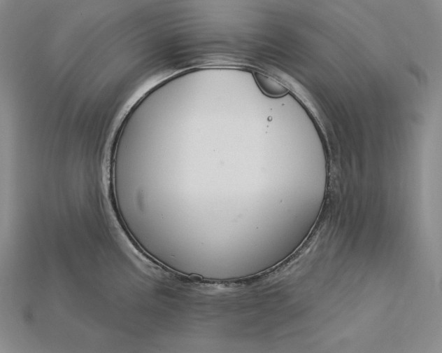 X0000115201195200911121835
