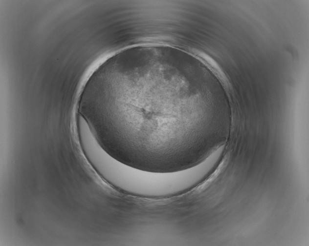 X0000115201196200911121835