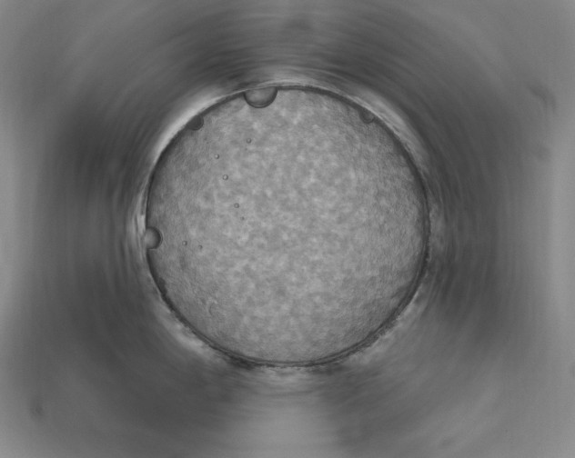 X0000115201198200911121835