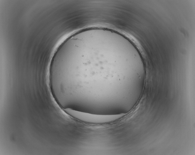 X0000115201199200911121835