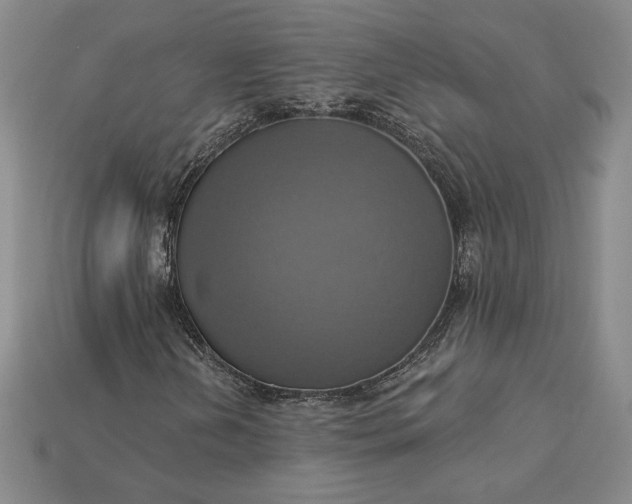 X0000115201202200911121835