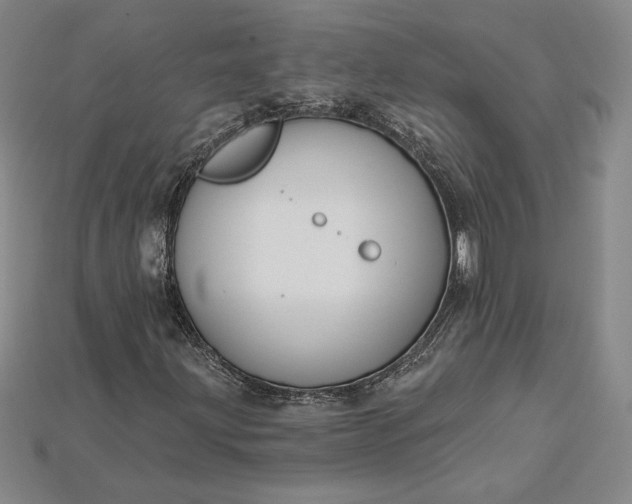 X0000115201203200911121835