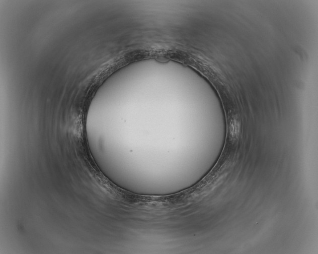 X0000115201204200911121835