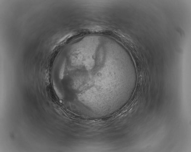 X0000115201205200911121835