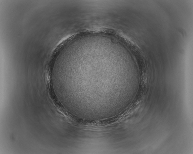 X0000115201206200911121835