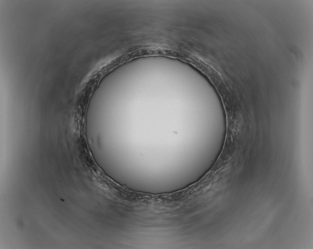 X0000115201207200911121835