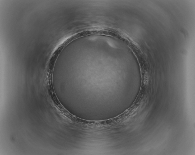 X0000115201208200911121835