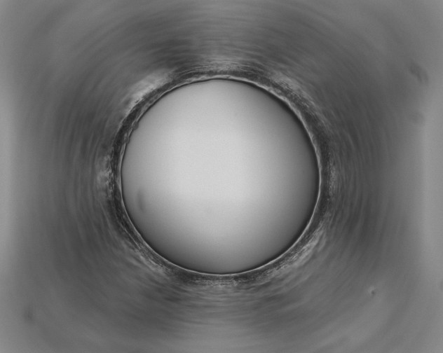 X0000115201210200911121835