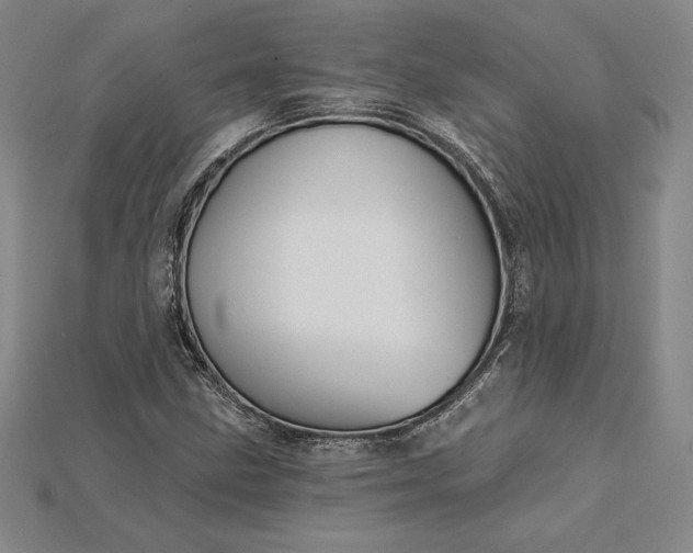 X0000115201211200911121835