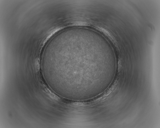 X0000115201212200911121835