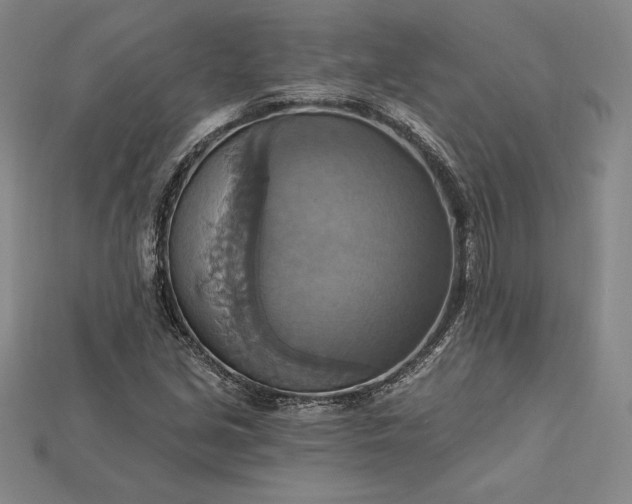 X0000115201213200911121835
