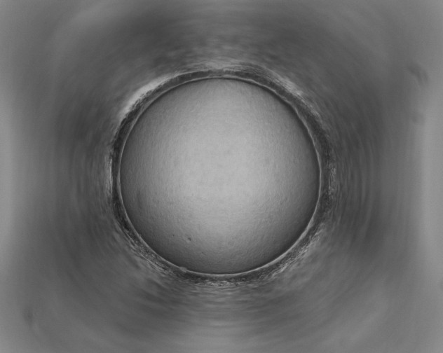 X0000115201214200911121835