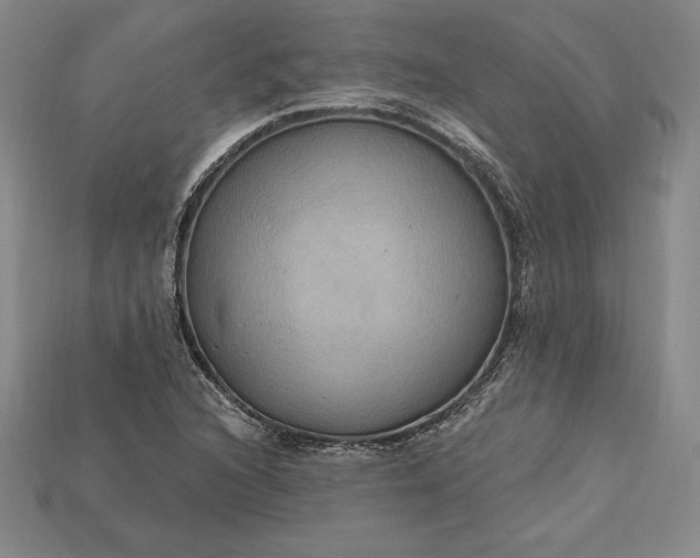 X0000115201216200911121835