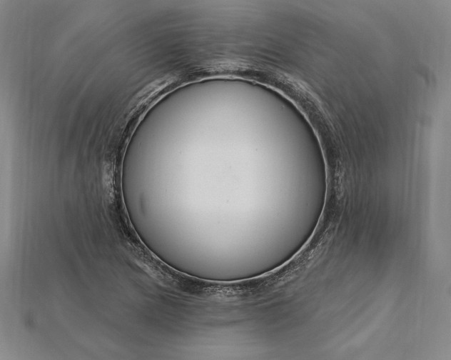 X0000115201217200911121835