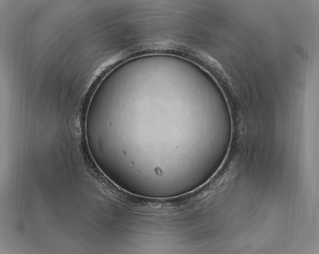 X0000115201218200911121835