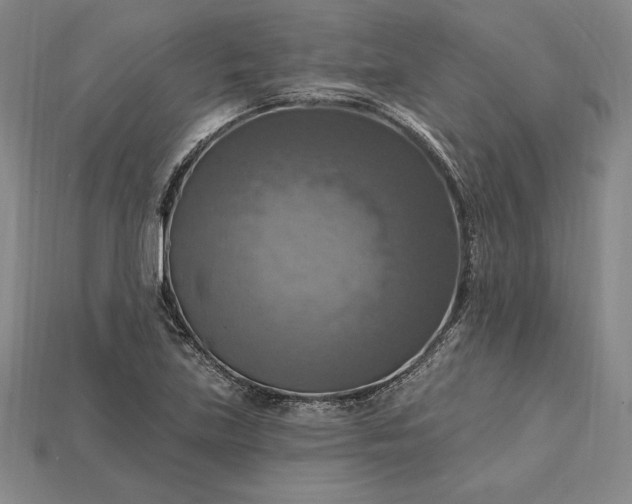 X0000115201219200911121835