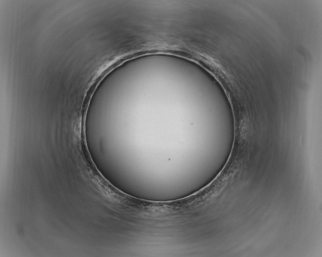 X0000115201220200911121835