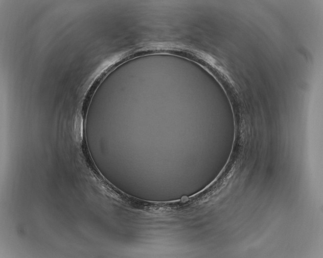 X0000115201221200911121835