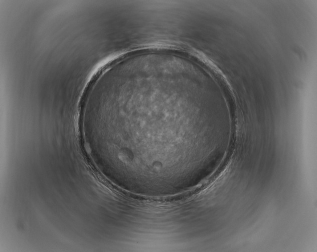 X0000115201222200911121835