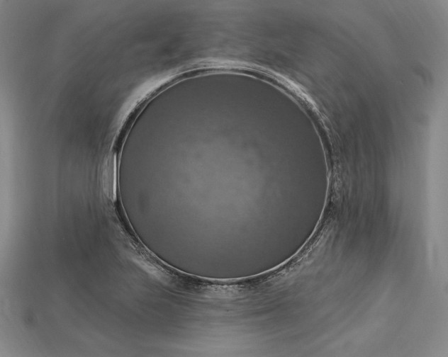 X0000115201223200911121835