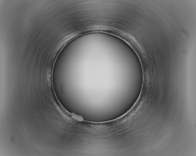 X0000115201225200911121835