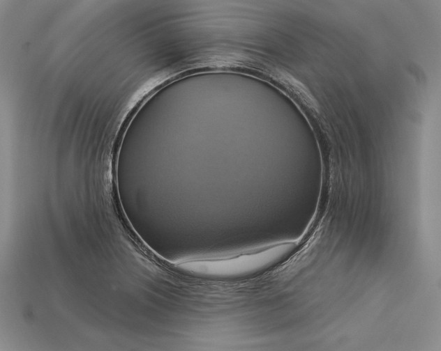 X0000115201226200911121835