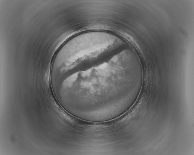 X0000115201228200911121835
