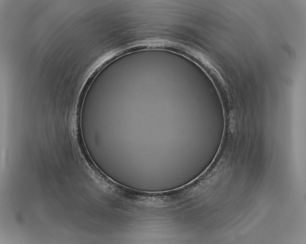 X0000115201229200911121835