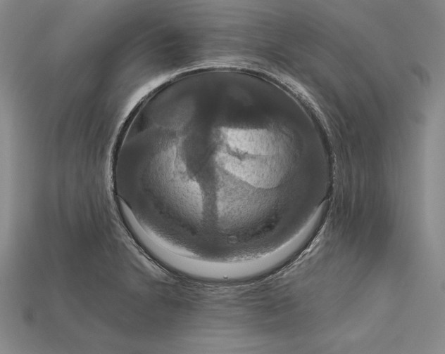 X0000115201230200911121835