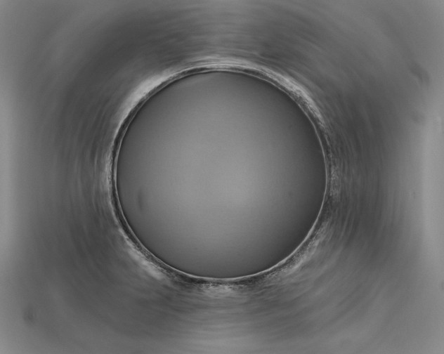 X0000115201231200911121835