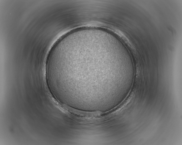 X0000115201232200911121835