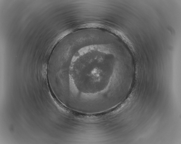 X0000115201233200911121835