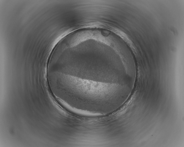 X0000115201234200911121835