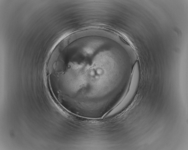 X0000115201235200911121835