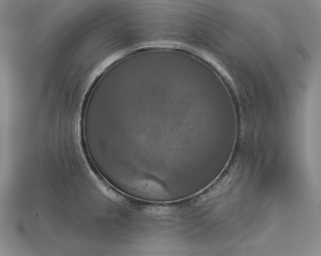 X0000115201237200911121835
