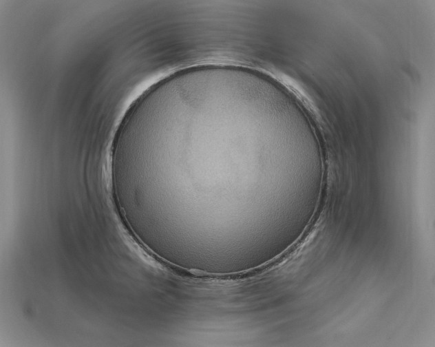 X0000115201238200911121835