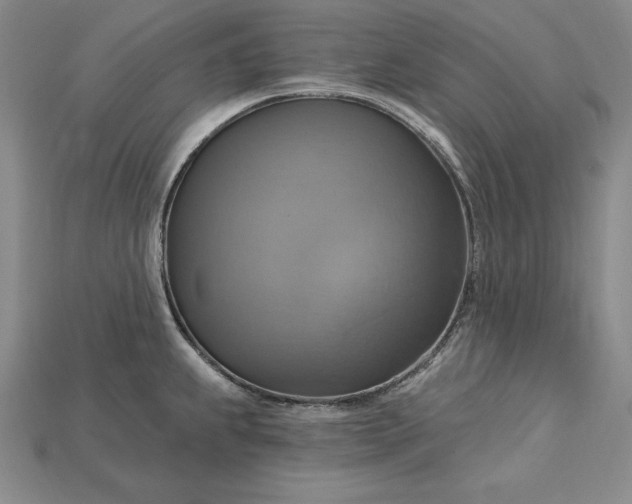 X0000115201239200911121835