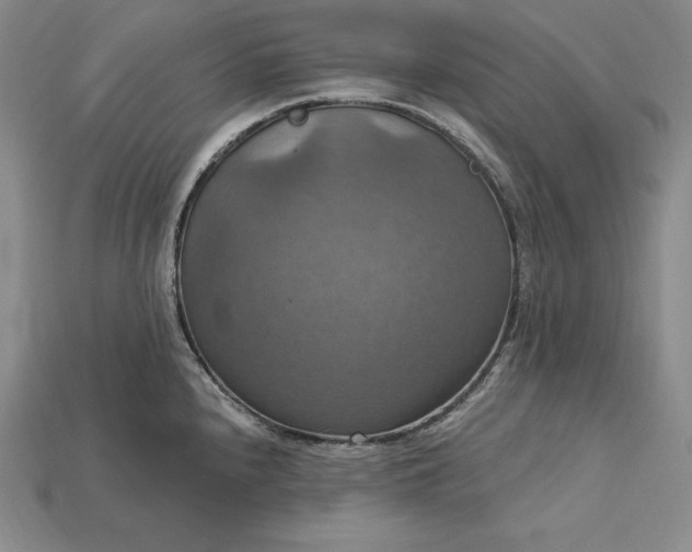 X0000115201240200911121835