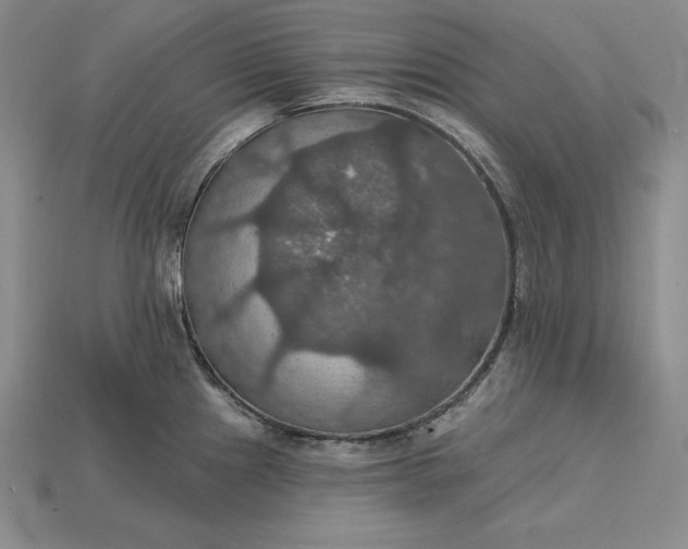 X0000115201241200911121835