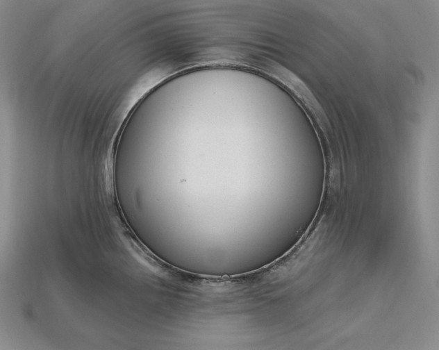 X0000115201242200911121835