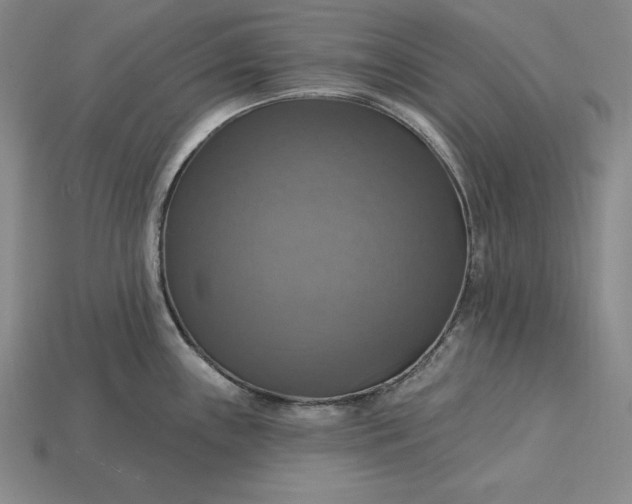 X0000115201243200911121835