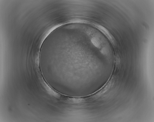 X0000115201244200911121835