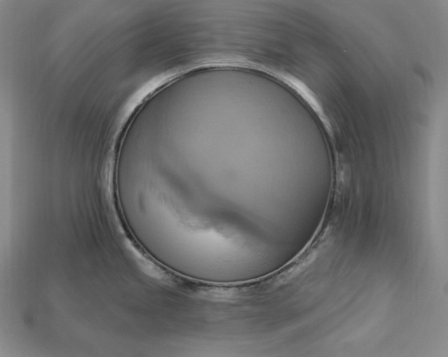 X0000115201245200911121835