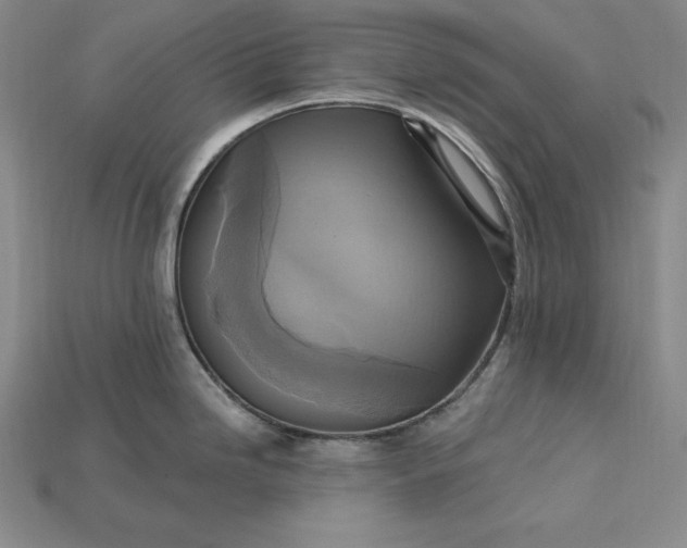 X0000115201246200911121835
