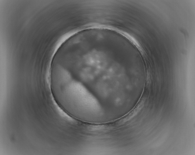 X0000115201247200911121835