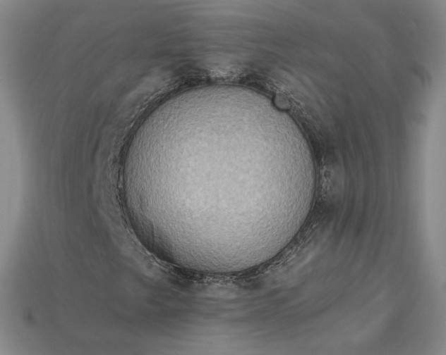 X0000115201249200911121835