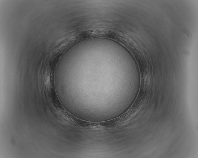 X0000115201250200911121835