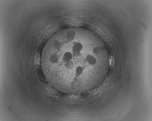 X0000115201251200911121835