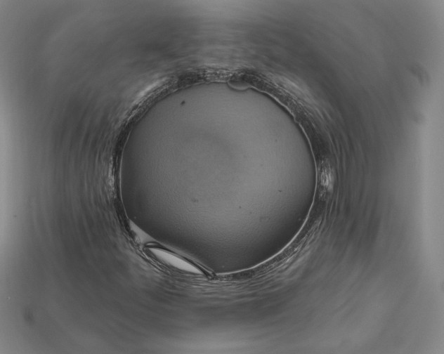 X0000115201252200911121835