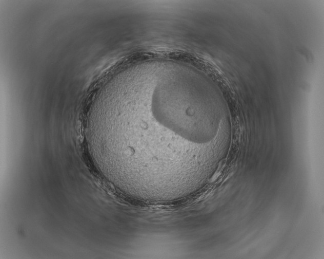 X0000115201253200911121835
